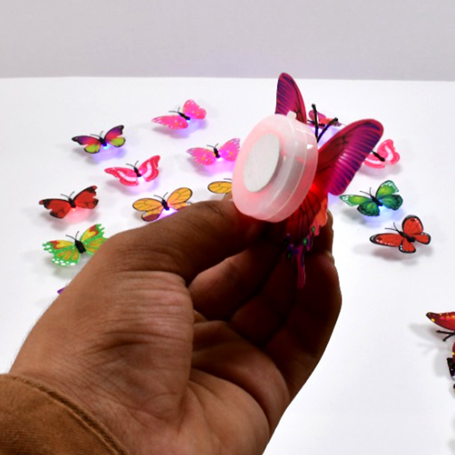 Butterfly 3D Night Lamp (Pack of 50)