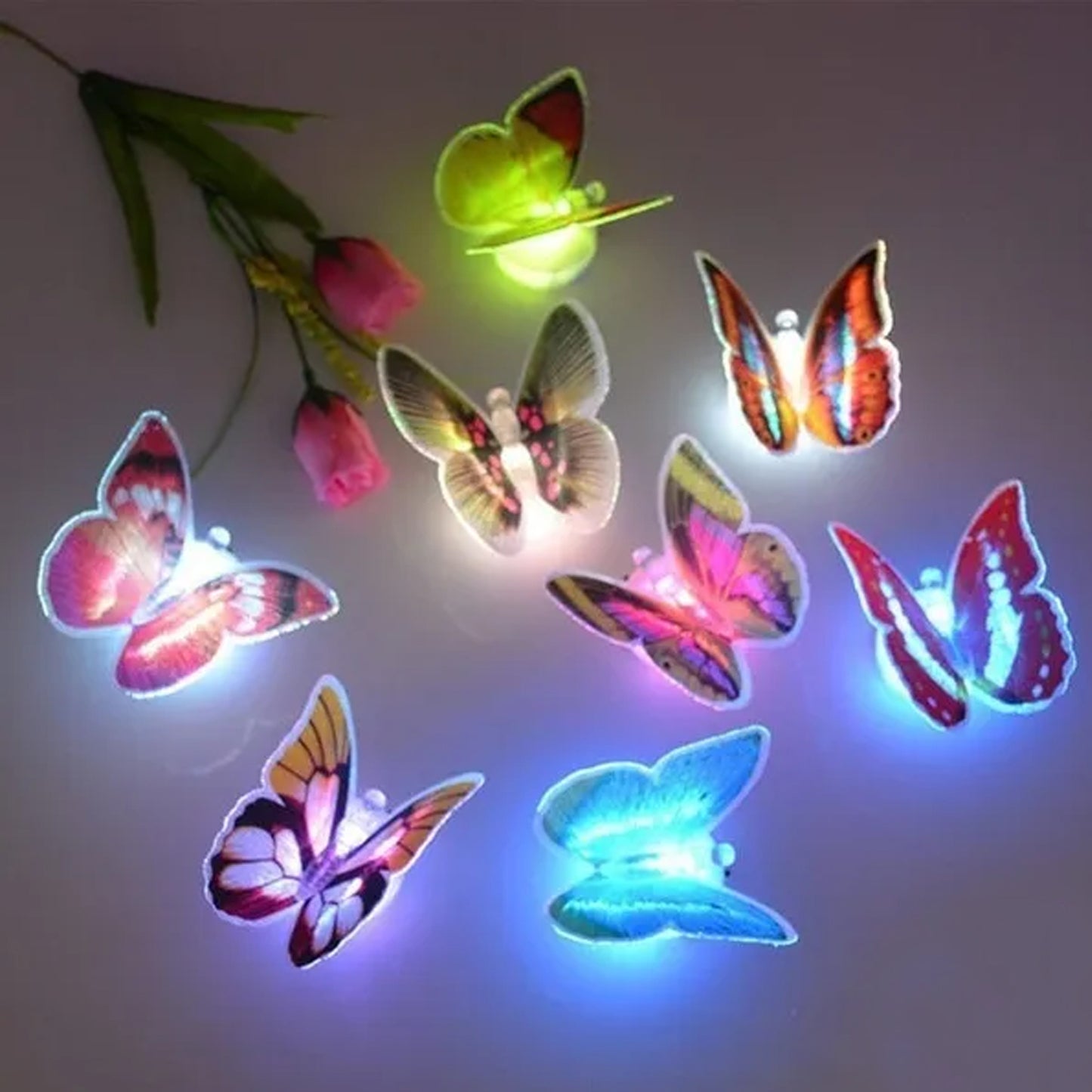 Butterfly 3D Night Lamp (Pack of 50)