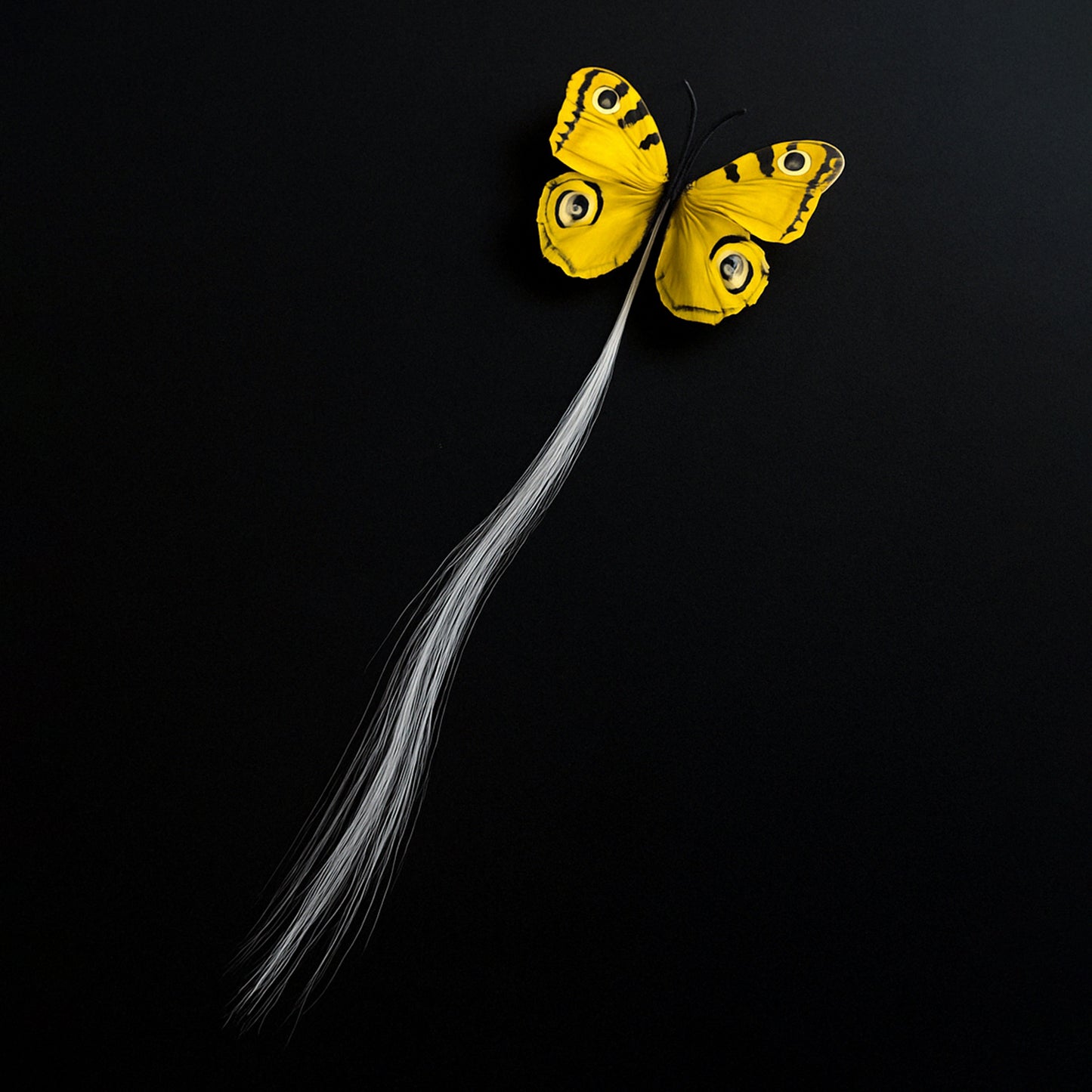 LED Butterfly Hair Clip